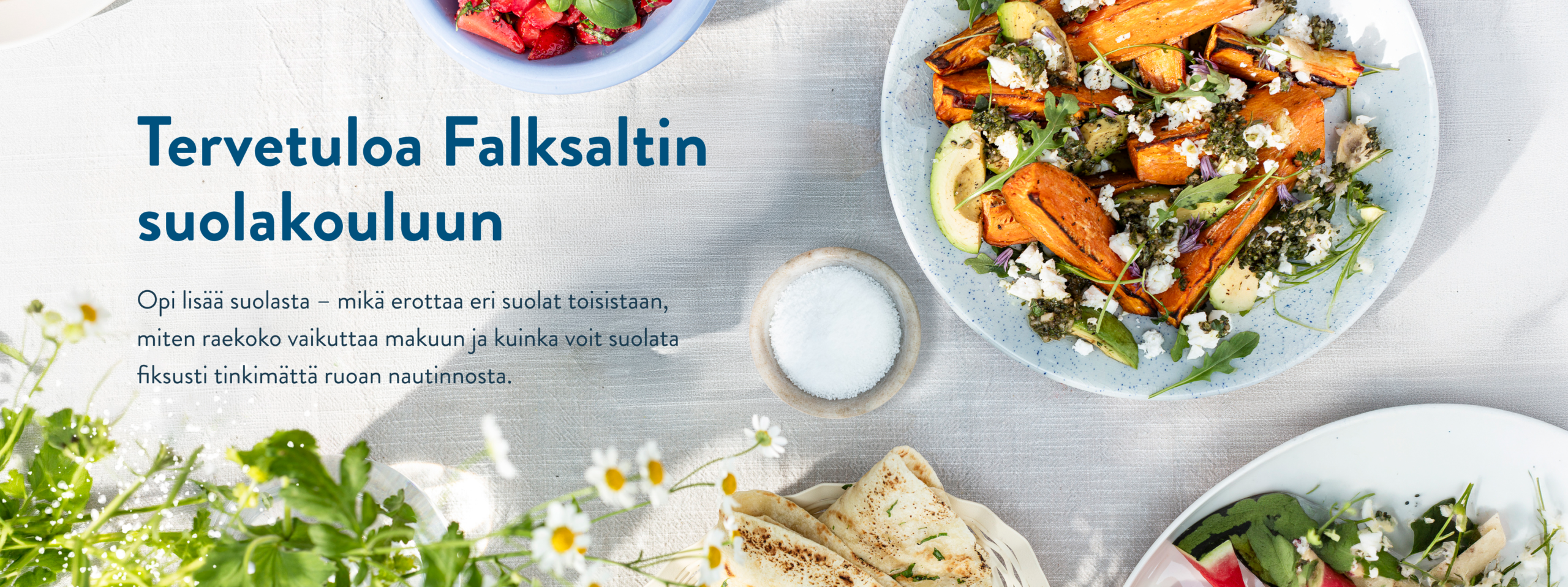 Tervetuloa Falksaltin suolakouluun Opi lisää suolasta – mikä erottaa eri suolat toisistaan, miten raekoko vaikuttaa makuun ja kuinka voit suolata fiksusti tinkimättä ruoan nautinnosta.