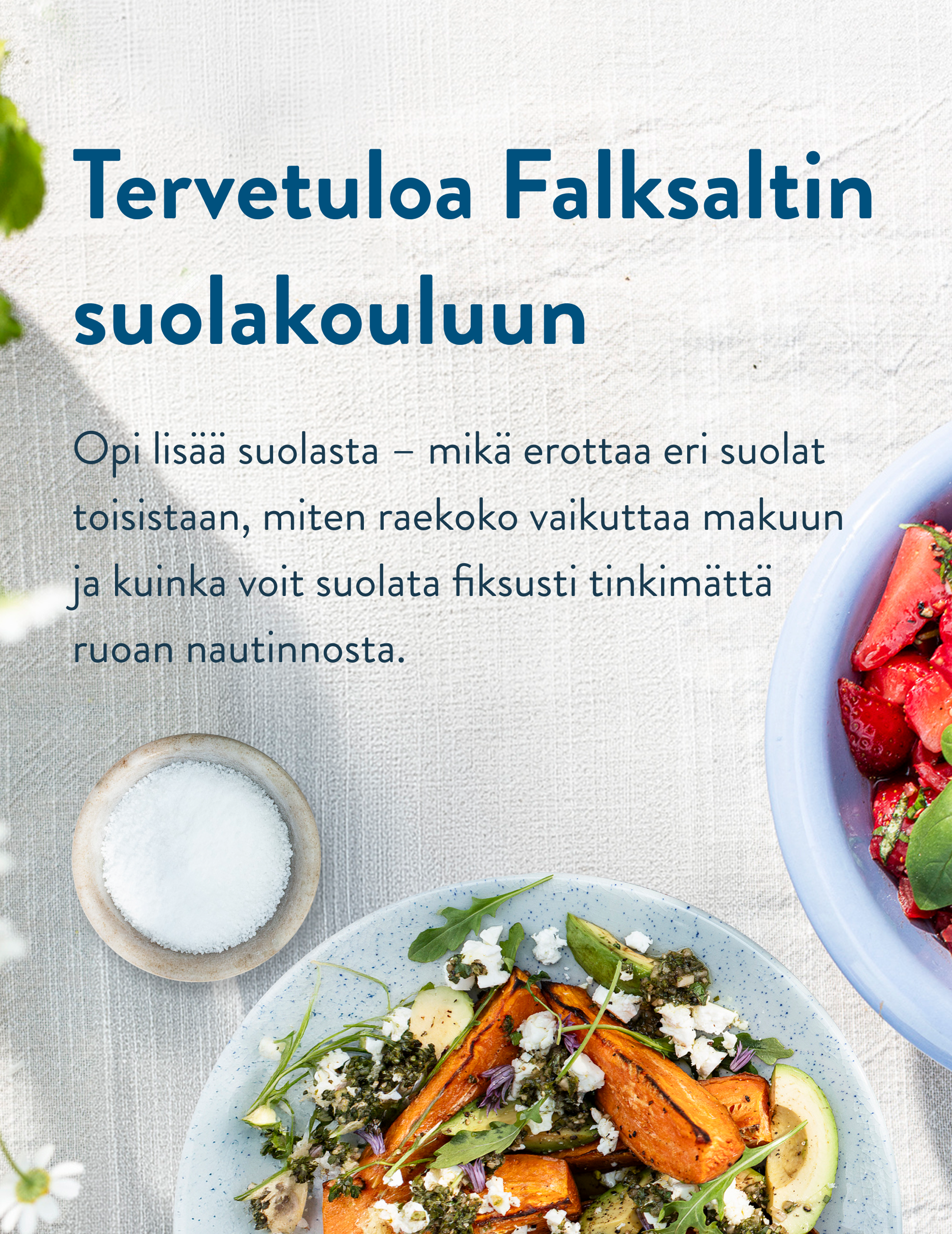 Tervetuloa Falksaltin suolakouluun Opi lisää suolasta – mikä erottaa eri suolat toisistaan, miten raekoko vaikuttaa makuun ja kuinka voit suolata fiksusti tinkimättä ruoan nautinnosta.